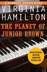 The Planet of Junior Brown - Virginia Hamilton - 9781453213797