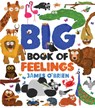 Big Book of Feelings - James O'Brien - 9781454712190