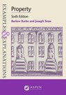 Examples & Explanations for Property - BURKE,  Barlow ; Snoe, Joseph - 9781454891536