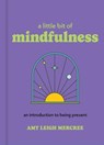 A Little Bit of Mindfulness - Amy Leigh Mercree - 9781454932499