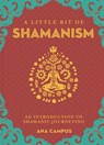 Little Bit of Shamanism, A - Ana Campos - 9781454933755