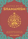 A Little Bit of Shamanism - Ana Campos - 9781454933755