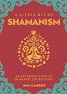 A Little Bit of Shamanism - Ana Campos - 9781454933762