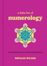 A Little Bit of Numerology - Novalee Wilder - 9781454936121