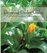 Growing Under Glass: Your Guide to Greenhouse Gardening Success - Hilery Hixon - 9781458049193