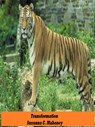 Transformation - Susanna C. Mahoney - 9781458061225