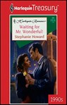 Waiting for Mr. Wonderful! - Stephanie Howard - 9781459253179