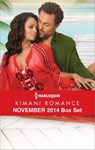 Harlequin Kimani Romance November 2014 Box Set - Deborah Fletcher Mello ; Phyllis Bourne ; Sherelle Green ; Theodora Taylor - 9781460348833