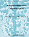 Ultrastructure of the Male Urogenital Glands - Allessandro Riva ; Francesca Testa Riva ; P. Motta - 9781461361251