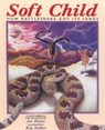 Soft Child - Joe Hayes - 9781461663959