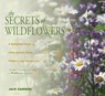 Secrets of Wildflowers - Jack Sanders - 9781461746836
