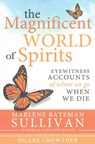 The Magnificent World of Spirits: Eyewitness Accounts of Where We Go When We Die - Marlene Sullivan - 9781462117789