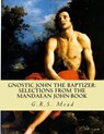 Gnostic John the Baptizer: Selections from the Mandaean John-Book - G. R. S. Mead - 9781463528911