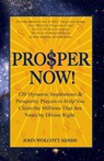 Pro$per Now! - John Wolcott Adams - 9781465886804