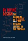 By Divine Design - Aaron L. Raskin - 9781466001404