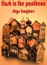 Flash in the Pantheon - Rhys Hughes - 9781466117648
