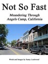 Not So Fast: Meandering Through Angels Camp, California - Sunny Lockwood - 9781466125902