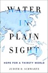 Water in Plain Sight - Judith D. Schwartz - 9781466879003
