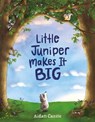 Little Juniper Makes It BIG - Aidan Cassie - 9781466899469