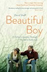 Beautiful Boy - David Sheff - 9781471173967