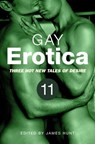 Gay Erotica, Volume 11 - James Hunt - 9781472103369