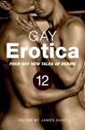 Gay Erotica, Volume 12 - James Hunt - 9781472103376
