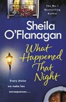 What Happened That Night - Sheila O'Flanagan - 9781472235350