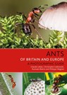Ants of Britain and Europe - LEBAS,  Claude ; Galkowski, Christophe ; Blatrix, Rumsais ; Wegnez, Philippe - 9781472954084