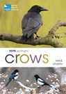 RSPB Spotlight Crows - Mike Unwin - 9781472971777