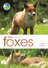 RSPB Spotlight: Foxes - Mike Unwin - 9781472982100