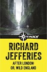 After London: Or, Wild England - Richard Jefferies - 9781473216259