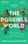 The Possible World - Liese O'Halloran Schwarz - 9781473539297