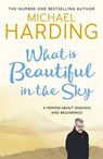 What is Beautiful in the Sky - Michael Harding - 9781473691001