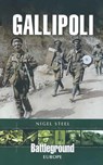 Gallipoli - Nigel Steel - 9781473814523