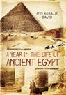 A Year in the Life of Ancient Egypt - Ann Rosalie David - 9781473859821