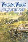 Wyoming Widow (Mills & Boon Historical) - Elizabeth Lane - 9781474020237