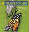 It Transforms! - Nikki (Digital Assoc. Editor) Potts - 9781474751629