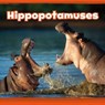 Hippopotamuses - CLAY,  Kathryn - 9781474761536