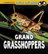 Grand Grasshoppers - Megan Cooley Peterson - 9781474770613