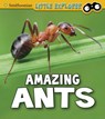 Amazing Ants - Megan Cooley Peterson - 9781474770620