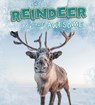 Reindeer Are Awesome - Jaclyn Jaycox - 9781474786423