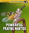 Powerful Praying Mantises - Melissa Higgins - 9781474794756