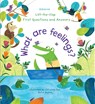 First Questions and Answers: What are Feelings? - Katie Daynes - 9781474948180