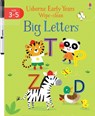 Early Years Wipe-Clean Big Letters - Jessica Greenwell - 9781474968416