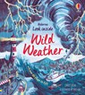Look Inside Wild Weather - Emily Bone - 9781474968874