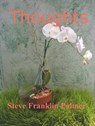 Thoughts - Steve Franklin-Palmer - 9781476386027