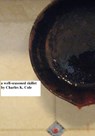 A Well-seasoned Skillet - Charles K. Cole - 9781476423975