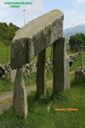 Ireland Calling Me Home Sonnets - Susanna C. Mahoney - 9781476494647