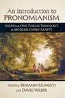An Introduction to Pronomianism - Benjamin Szumskyj ; David Wilber - 9781476698229