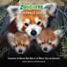ZooBorns Motherly Love - Chris Eastland ; Andrew Bleiman - 9781476791975